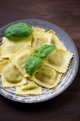 Close-up of italian ravioli with green basil leaves, studio shot