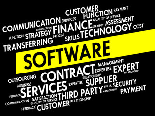 SOFTWARE word cloud, business concept