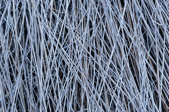 Muster aus Halmen einer Pflanze