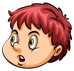 A head of a young boy