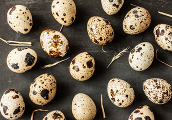 Quail eggs with hay on black background - easter