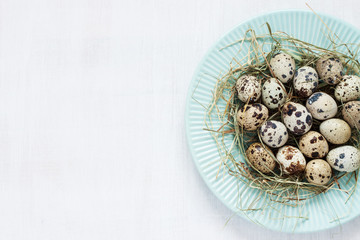 Easter - quail eggs with hay on pastel blue plate from above