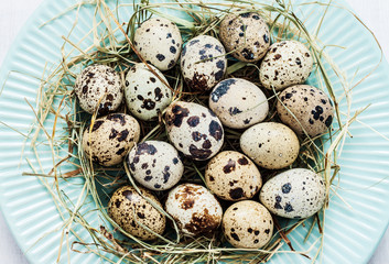 Obraz premium Easter - quail eggs with hay on pastel blue plate from above