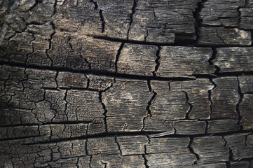 Burn wooden texture