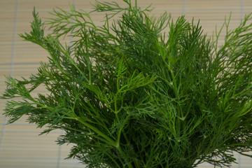 Dill branch