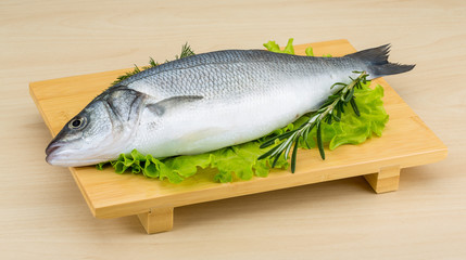 Raw seabass