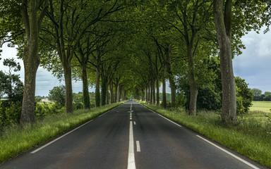 Obraz premium The path to joy