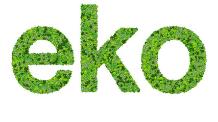 Word eko made from green leaves on gradient background.