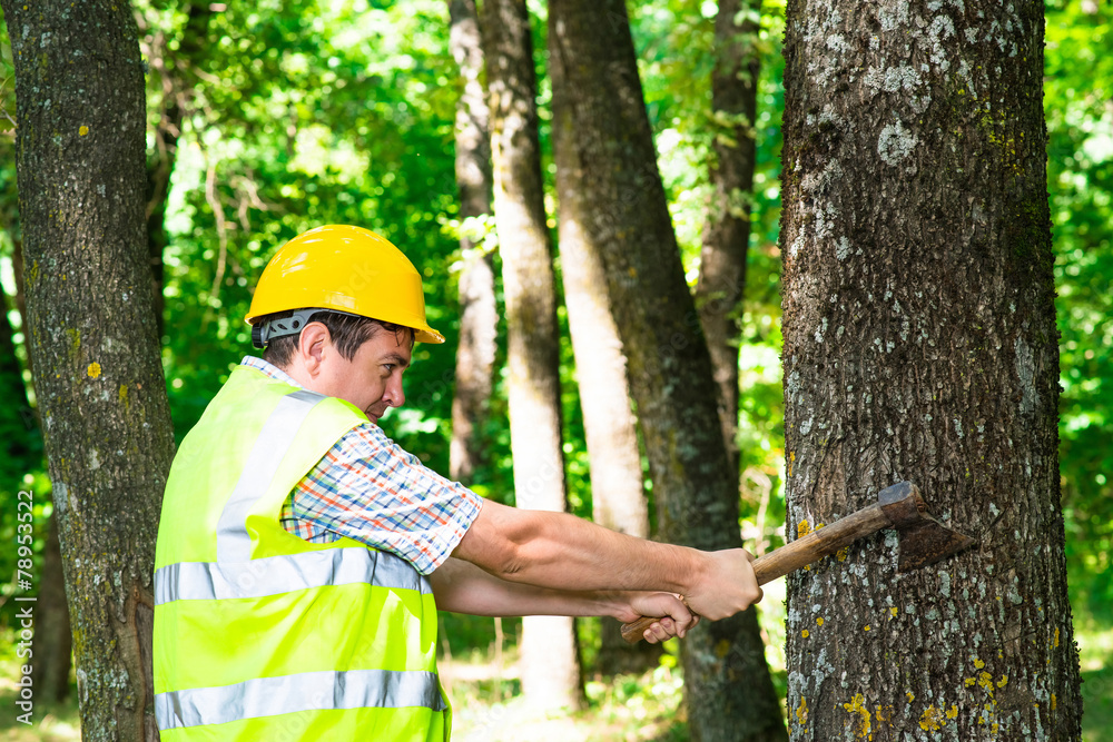 Poster lumberjack cutting the tree with an axe in the forest