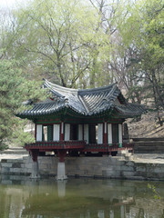 Fototapeta premium 한국의 전통가옥