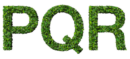 P Q R alphabet letters made from green leaves isolated on white.