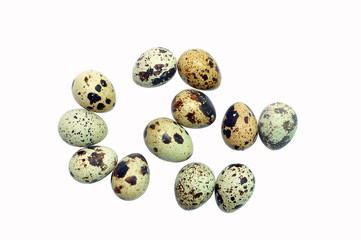 Obraz premium quail eggs