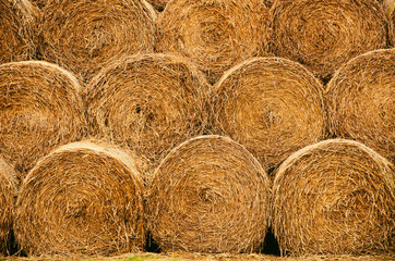Straw bales texture