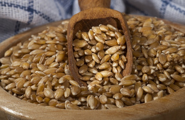 Spelt
