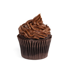 Chocolate Cupcake isolated on white background. Selective focus.