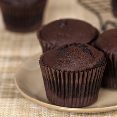 Chocolate Cupcakes. Selective focus.