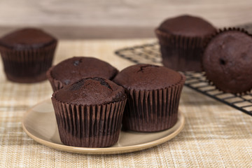 Chocolate Cupcakes. Selective focus.