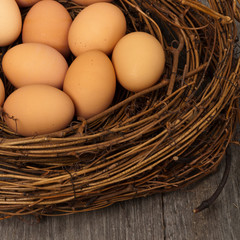 Eggs. Selective focus.