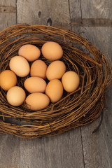 Nest with chicken eggs. Selective focus.