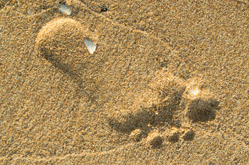 Footprints