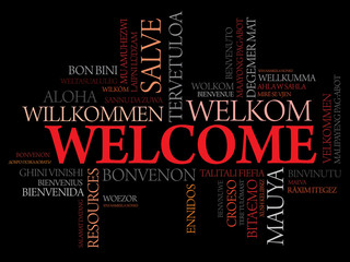Welcome in different languages word cloud, business concept