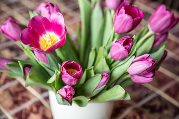 pink tulips in white vase (pot) on table