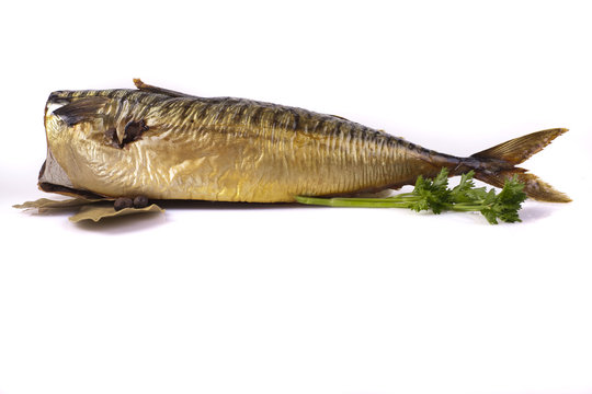 Smoked mackerel