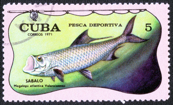 CUBA - CIRCA 1971