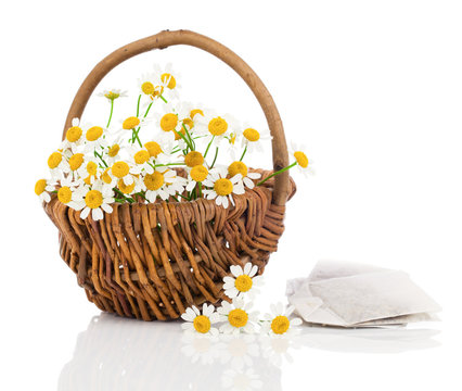 beautiful camomile flowers in basket with tee bag, isolated on w