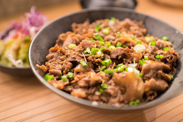 Set of gyudon : japanese food with beef and rice