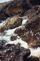 gotas en rocas