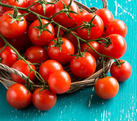 Cherry tomatoes on turquoise background
