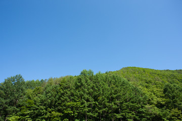 青空と山