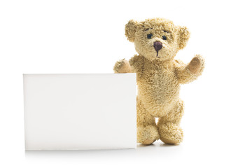 teddy bear with blank board