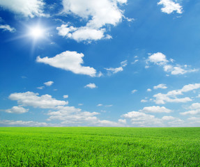 Fototapeta premium landscape