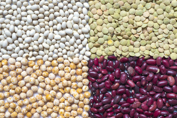 different legume beans