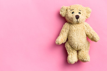 teddy bear on pink background