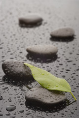 Stones with leaves and water drops, close up