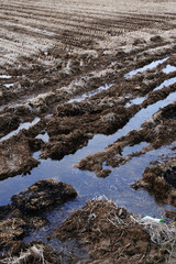 자연풍경이미지