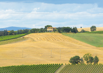 Montalcino (Tuscany, Italy)