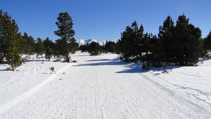 Plateau de la Calme à Font-Romeu (Pyrénées Orientales)
