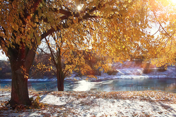 landscape late autumn sun freezing river park