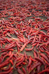 Fototapeta premium 음식이미지