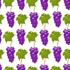 Seamless pattern grapes vector