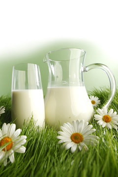 Glass of milk and jar on flower meadow