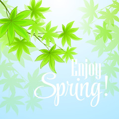 Spring fresh green leaves. Vector illustration