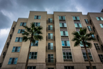 Fototapeta premium Palm trees and modern building in Long Beach, California.