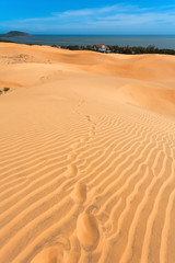 Fototapeta na wymiar dunes and the sea