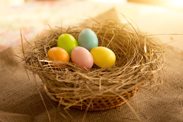Closeup shot of colorful Easter eggs lying in nest at sunny day