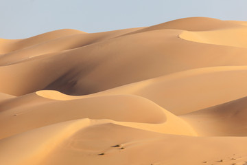 Obraz premium Dunes in the Empty Quarter desert. Abu Dhabi, UAE